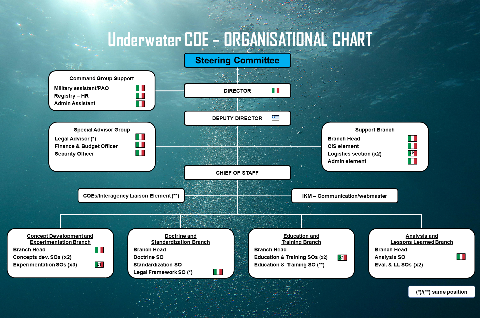 Organisational Chart UW COE per sito