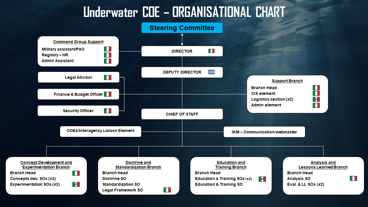 Organisational Chart UW COE